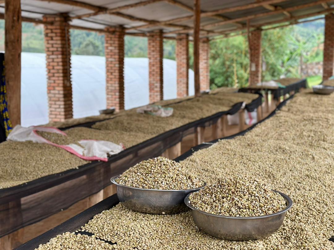 Nova Coffee gallery image 49